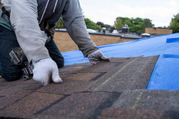 Professional Roofing Contractor in Audubon, NJ
